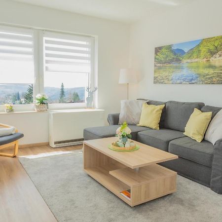 Appartement Panoramablick à Sankt-Andreasberg Extérieur photo
